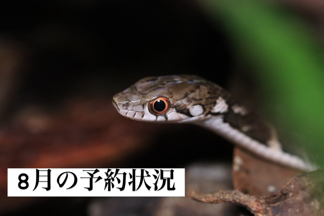 画像416