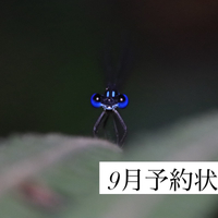 画像418