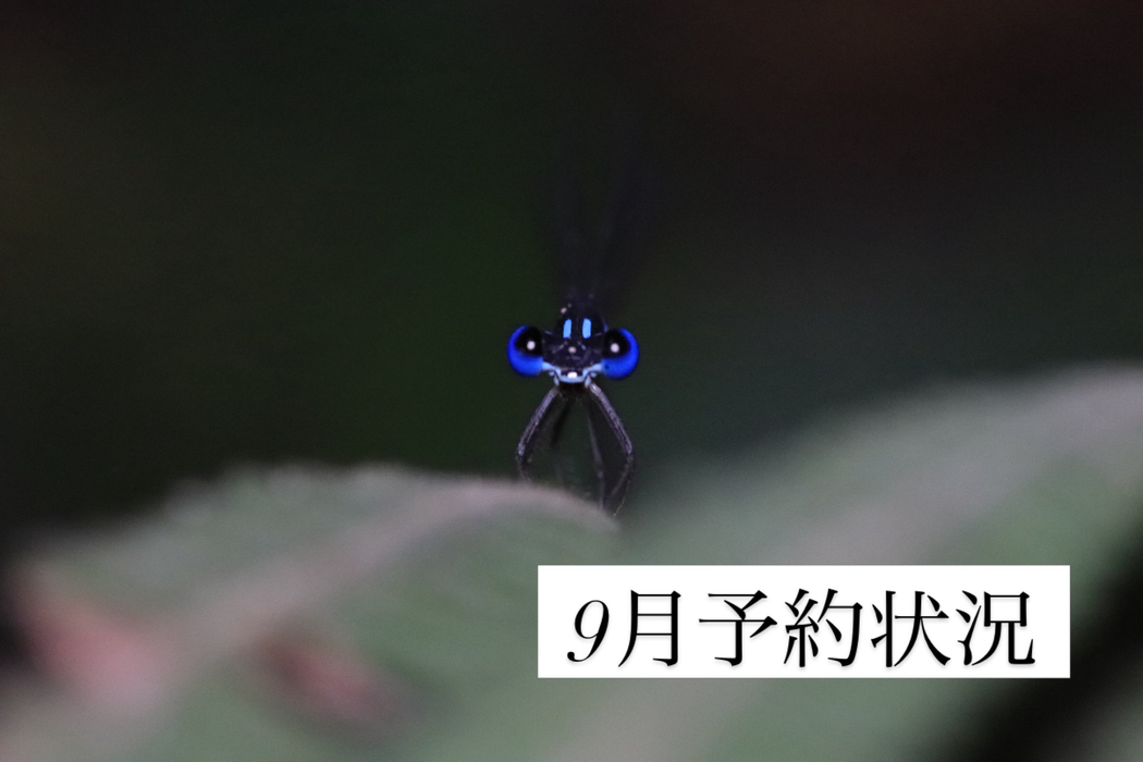 画像418